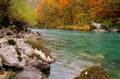 Tara river in the Canyon near ÃÂurÃâeviÃâ¡a Tara Bridge, Montenegro - autumn picture